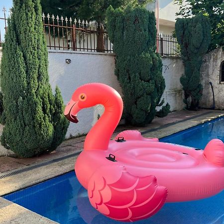 Nadir Bej Holiday Haus Shkoder Bagian luar foto