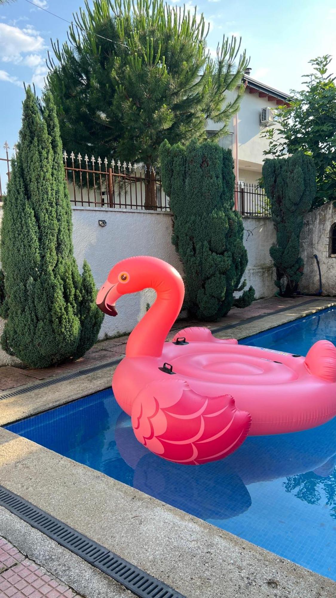 Nadir Bej Holiday Haus Shkoder Bagian luar foto