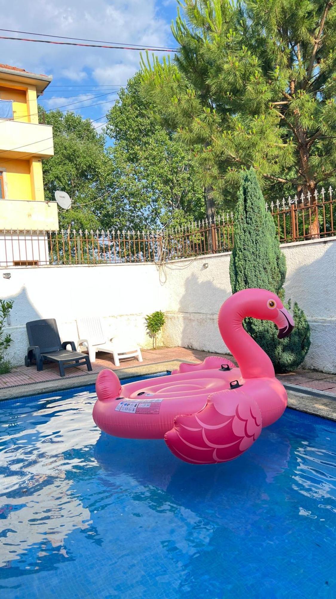 Nadir Bej Holiday Haus Shkoder Bagian luar foto